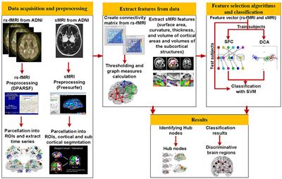 Identification of the Early Stage of Alzheimer's Disease Using Structural MRI and Resting-State fMRI